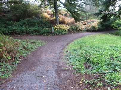 Natural surface trail with some gravel in places